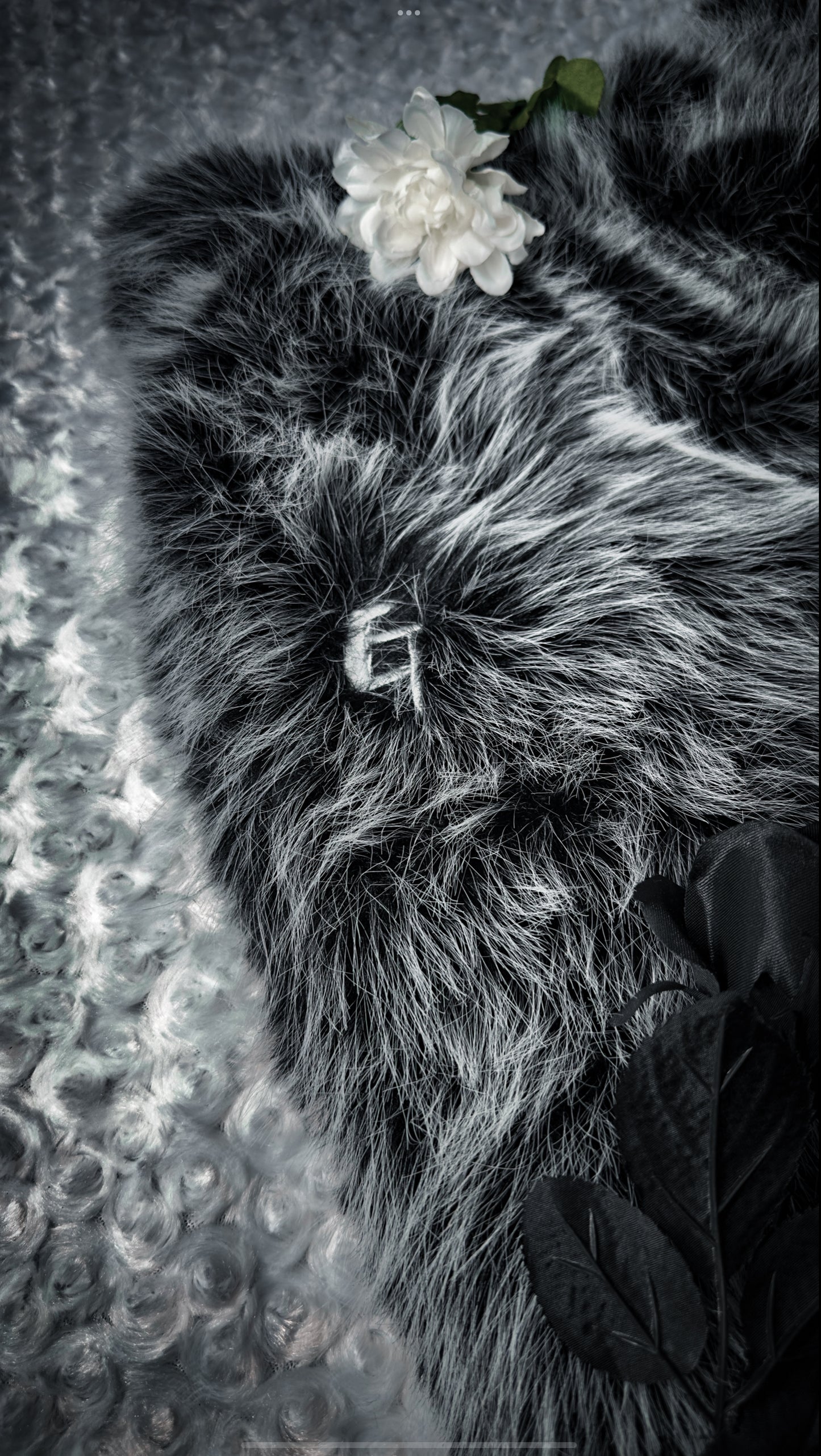 "Ivory Eclipse" Furs
